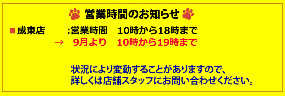 BEST★バリューの営業時間