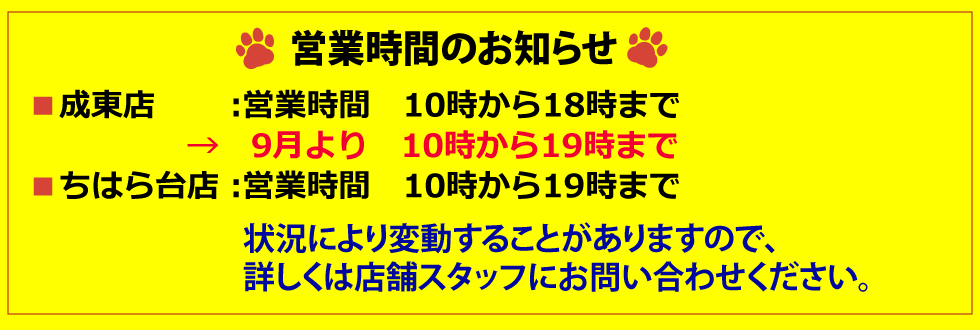 BEST★バリューの営業時間